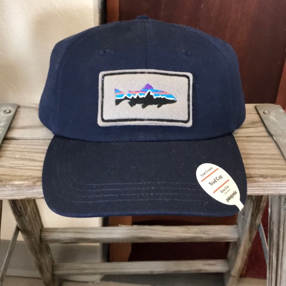 Patagonia Other - Patagonia hat